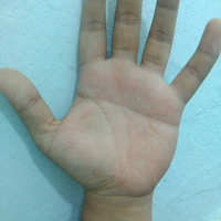 ramal-gratis-lewat-garis-tangan