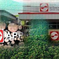 pt-bumi-mekar-hijau-perusahaan-pembakar-hutan-yg-di-gugat-7t-milik-sinar-mas-group
