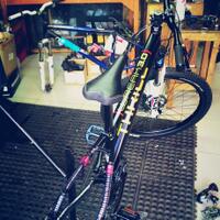 all-about-4x-four-cross