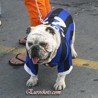 spectre-soccer-room-2015-2016------part-4