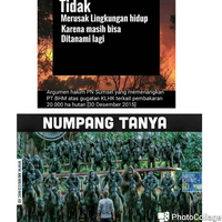 meme-meme-kocak-pak-hakim-quotbakar-hutan-tidak-merusak-lingkungan-hidupquot