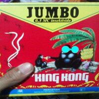 mengenal-jenis-jenis-nyamuk-paling-berbahaya