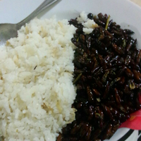 kfc-reg-solo---part-3