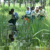 sedih-siswa-ke-sekolah-lewat-rawa-karena-jalan-ditutup-perusahaan
