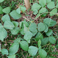 post-image