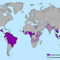 indonesia-sedang-rawan-dbd-waspadai-juga-virus-zika-yang-hebohkan-brazil