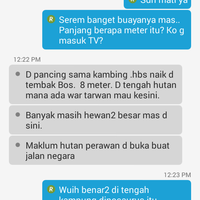 buapaknya-buaya-darat-8-meter-baru-ditangkap-pakai-kambing