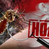 pesan-berantai-soal-meninggalnya-bos-lv-dan-virus-zika-di-indonesia