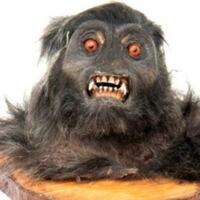 hot-george-bush-ditangkap