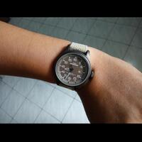 all-about-timex