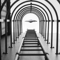 ngakak-pilih-pemenang-kontes-foto-hasil-sotosop-nikon-dibully-total-di-internet