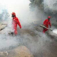demam-berdarah-di-jakarta-belum-kategori-kejadian-luar-biasa