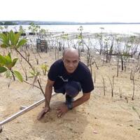 sabar-gorky-kaget-banyak-mangrove-rusak-di-teluk-benoa