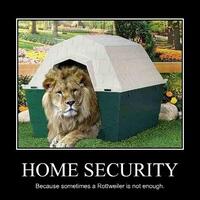 cara-memposting-dan-upload-foto-menjadi-spoiler