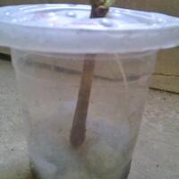 kampung-anggur----part-3