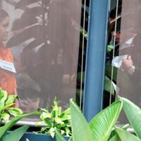 polda-metro-jaya-dituding-galau-dalam-selidiki-kasus-mirna