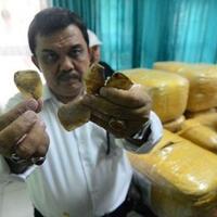 petugas-kesulitan-gulung-sindikat-perdagangan-trenggiling