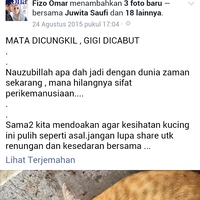 manusia-biadab-kucing-malang-mata-di-cungkil-gigi-di-cabut