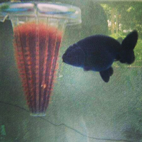 maskoki-ngomongin-semuanya-ttg-maskoki-yuk---part-5