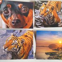 tips--mau-beli-printermacuk-cini-dulu---part-1