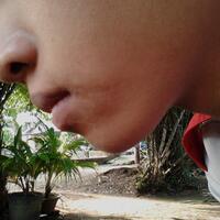 ini-panu-apa-bukan-ya