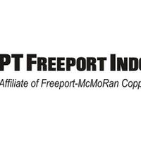 magang-di-pt-freeport-indonesia