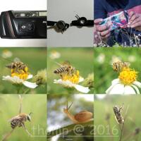 official-lounge--all-about-xiaomi---xiaomi-lovers-masuk----part-2