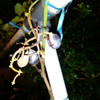 post-image