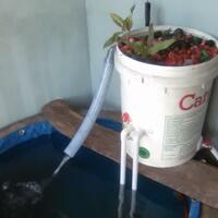 mini-aquarium-lovers-ayoo-masuk