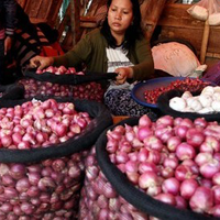 sekilas-info--tni-amankan-24-ton-bawang-merah-asal-india-dan-malaysia