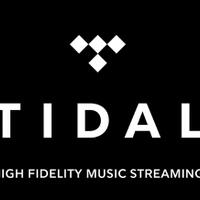 tidal---high-fidelity-music-streaming