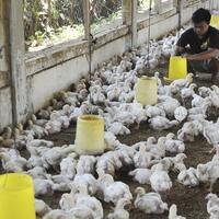 4-bisnis-modal-kecil-peraup-untung-besar