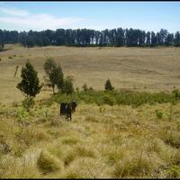 ini-5-bandara-pertama-dibangun-di-indonesia-sekarang-jadi-apa-ya