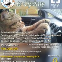 cat-lovers-kaskus-read-page-1-first---part-4