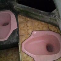 toilet-paling-aneh-yang-ane-temuin-gan-ngakaks