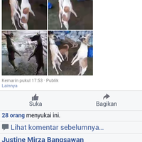 alay-pengen-tenar-pamer-foto-gantung-anjing