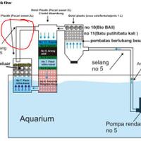 tips-membuat-filter-aquarium-tanpa-kuras-air-selamanyaaaaa-100-tahun