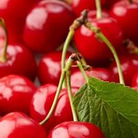 merasa-lelah-berlebihan-salahkan-5-makanan-ini