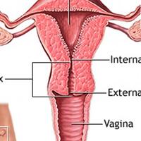 as-sukses-lakukan-transplantasi-rahim-pertama
