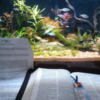 aquascape-for-everyone-learning-and-sharing---part-2