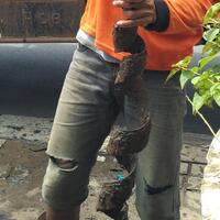 siapa-yang-buang-bungkus-kabel-sembarangan-di-gorong-gorong-jakarta