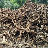 pln-sampah-bungkus-kabel-di-got-bukan-milik-kami