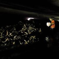 dugaan-sabotase-banjir-di-jakarta-diselidiki