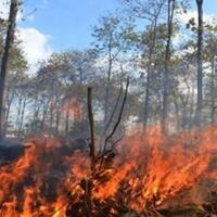 bmkg-deteksi-12-titik-kebakaran-hutan-dan-lahan-di-riau