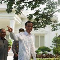 presiden-jokowi-batal-bertemu-sting