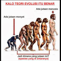 apakah-teori-gravitasi-dan-evolusi-hanya-sebuah-teori