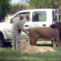 25-foto-konyol-dan-kocak-ini-cuma-bisa-kamu-temui-di-afrika