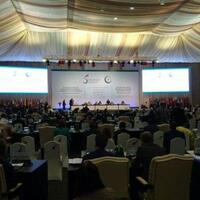 prancis-akan-gelar-konferensi-palestina-sekjen-oki-semua-harus-mendukung