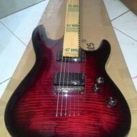 sharing-tentang-schecter