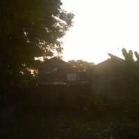 post-image
